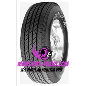 Pneu Roadstone Roadian H/T SUV 235 60 17 102 S Pas cher chez My Pneus